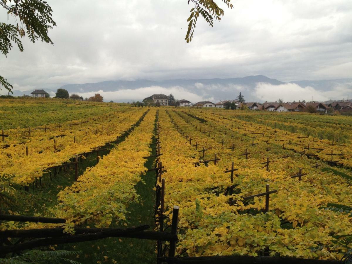 Apartmán Casa Pigano Appiano Sulla Strada Del Vino Exteriér fotografie